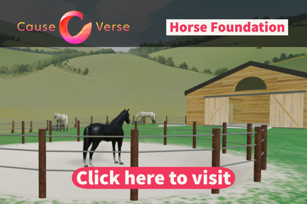 Horse Foundation space
